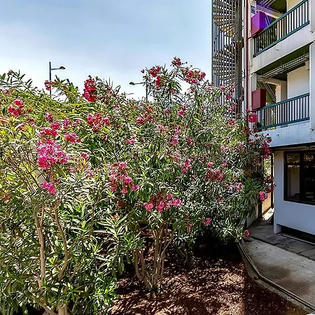 Vina Del Mar 1bedroom * Playa Fanabe